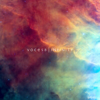 Thumbnail for the Voces8 - Infinity link, provided by host site