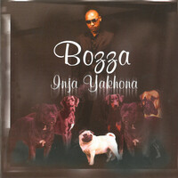 Thumbnail for the Bozza - Inja Yakhona link, provided by host site