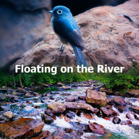 Thumbnail for the Relaxing Spa Music - Inner link, provided by host site