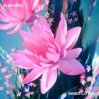 Thumbnail for the Flowers - Inner Lotus link, provided by host site