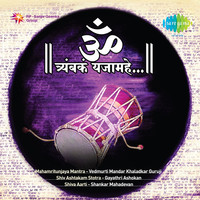 Thumbnail for the Pandit Jasraj - Inner Voice Signature Mahamantra - Shloka link, provided by host site