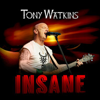 Thumbnail for the Tony Watkins - Insane link, provided by host site