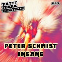 Thumbnail for the Peter Schmidt - Insane link, provided by host site