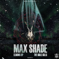 Thumbnail for the Max Shade - INSANE RECS 014 link, provided by host site