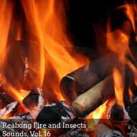 Thumbnail for the George Walker - Insects Chirping Inside The Campfire link, provided by host site