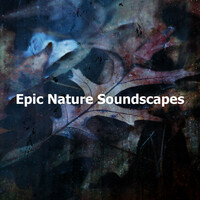 Image of Echoes Of Nature linking to their artist page due to link from them being at the top of the main table on this page