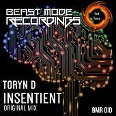 Thumbnail for the Toryn D - Insentient link, provided by host site