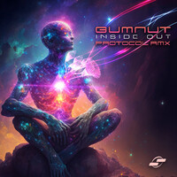 Thumbnail for the Gumnut - Inside Out - Protocol (BR) Remix link, provided by host site