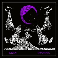 Thumbnail for the Raven - Insomnia link, provided by host site