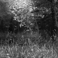 Thumbnail for the Jon Allen - Inspired link, provided by host site