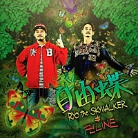 Thumbnail for the Ryo the Skywalker - 自由蝶 (INST) link, provided by host site