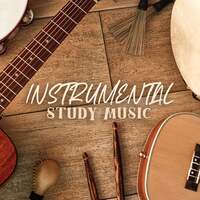 Thumbnail for the Studying Music Group - Instrumental Study Music: Classic Music to Help You Focus link, provided by host site