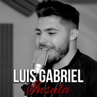 Thumbnail for the Luis Gabriel - Insula link, provided by host site