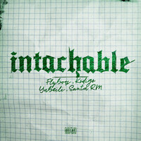 Thumbnail for the Flyboiz - INTACHABLE link, provided by host site
