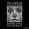 Thumbnail for the Ramon Tapia - Intense link, provided by host site