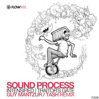 Thumbnail for the Sound Process - Intensified link, provided by host site