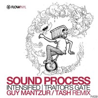 Thumbnail for the Sound Process - Intensified link, provided by host site