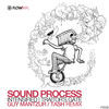 Thumbnail for the Sound Process - Intensified link, provided by host site