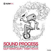 Thumbnail for the Sound Process - Intensified link, provided by host site