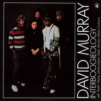 Thumbnail for the David Murray - Interboogieology link, provided by host site