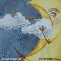 Thumbnail for the Cosmo Sheldrake - Interdimensional link, provided by host site