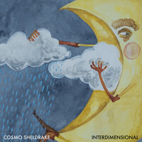 Thumbnail for the Cosmo Sheldrake - Interdimensional link, provided by host site