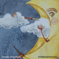 Thumbnail for the Cosmo Sheldrake - Interdimensional link, provided by host site