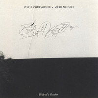 Thumbnail for the Sylvie Courvoisier - Interlude XII link, provided by host site