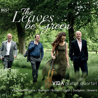 Thumbnail for the Stephen Dodgson - Intermezzo link, provided by host site