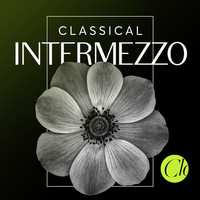 Thumbnail for the Richard Strauss - Intermezzo, Op. 72: Interlude, Am Spieltisch (At th Card-Table) link, provided by host site