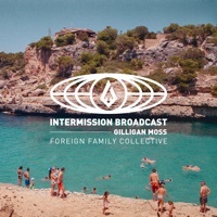 Thumbnail for the Gilligan Moss - Intermission Broadcast (DJ Mix) link, provided by host site