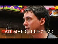 Thumbnail for the Animal Collective - Interview link, provided by host site
