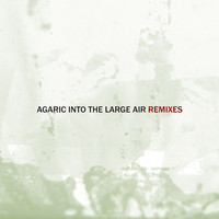 Thumbnail for the Agaric - Into the Large Air, Pt. 1 (Remixes) link, provided by host site