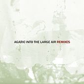 Thumbnail for the Agaric - Into the Large Air, Pt. 1 (Remixes) link, provided by host site