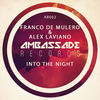 Thumbnail for the Franco De Mulero - Into the Night link, provided by host site