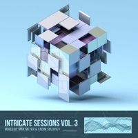 Thumbnail for the Vadim Soloviev - Intricate Sessions, Vol. 3 Mixed by Max Meyer & Vadim Soloviev link, provided by host site