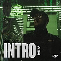 Thumbnail for the Aim - Intro link, provided by host site
