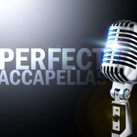 Thumbnail for the Clemens Rumpf And David A. Tobin - Intro - Accapella link, provided by host site