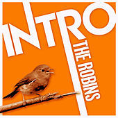 Thumbnail for the Robin S. - Intro: The Robins link, provided by host site