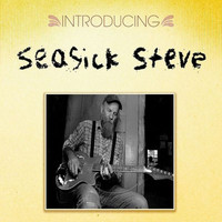 Thumbnail for the Seasick Steve - Introducing Seasick Steve link, provided by host site