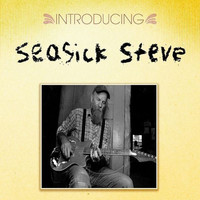 Thumbnail for the Seasick Steve - Introducing Seasick Steve link, provided by host site