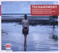 Thumbnail for the Rundfunk-Sinfonieorchester Berlin - Introduction link, provided by host site