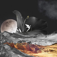 Thumbnail for the Kasia - Introspection link, provided by host site