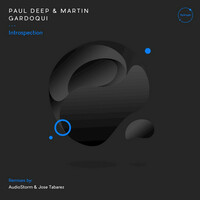 Thumbnail for the Paul Deep (AR) - Introspection - AudioStorm Remix link, provided by host site