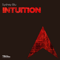 Thumbnail for the Sydney Blu - Intuition link, provided by host site