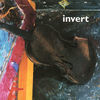 Image of Invert linking to their artist page due to link from them being at the top of the main table on this page