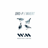 Thumbnail for the DROP - Invert link, provided by host site