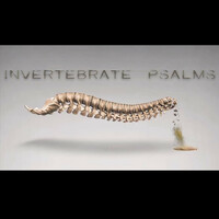 Thumbnail for the SeeS - Invertebrate Psalms link, provided by host site