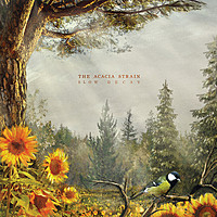Thumbnail for the The Acacia Strain - Inverted Person link, provided by host site