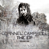 Thumbnail for the Cornell Campbell - Investigator link, provided by host site